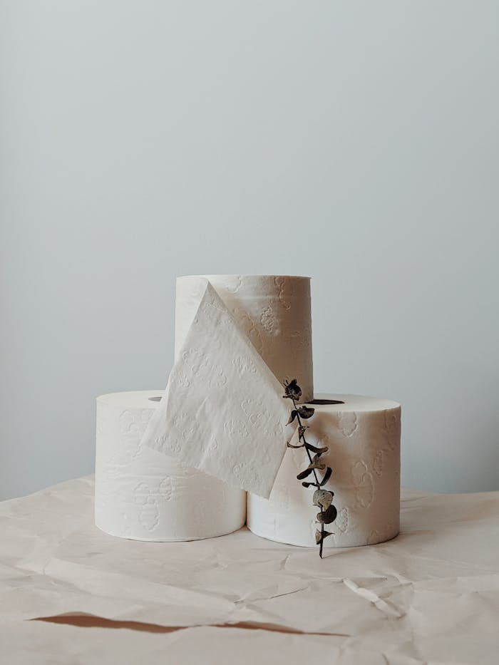 Artistic still life of stacked toilet paper rolls with eucalyptus, showcasing minimalism.
